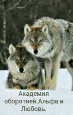 Академия оборотней. Альфа и Любовь.