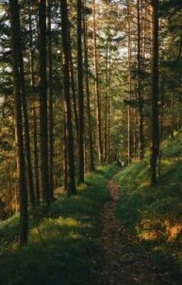 Полет сквозь небо.