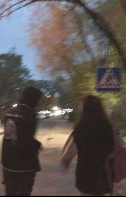 Вроде дружба 