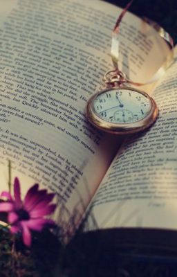 Раскрутка книг для новичков. Подписки, звёздочки, чтение, комментарии