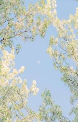 Всë для книг/фанфиков 2