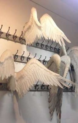 Крики этих стен.