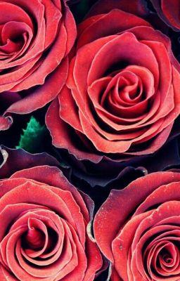 Сборник стихотворений.