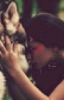 Академия Вампиров