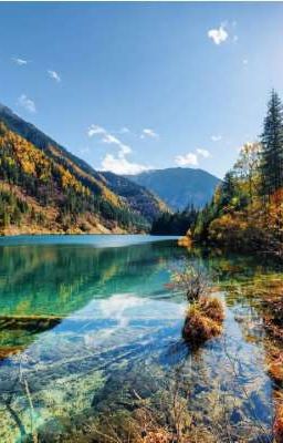 стихии мира