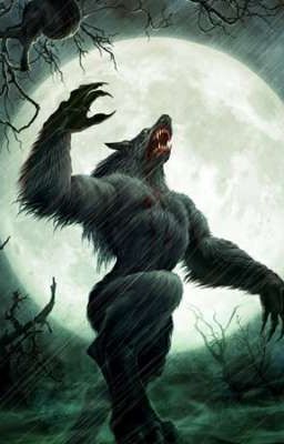 Любовь Альфы