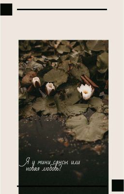 Я и мини Сансы или новая жизнь?