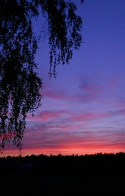 Цветок Вампира.