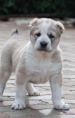 от дружбы к любьви