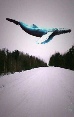 🐋Последние Записи Больной .🐬