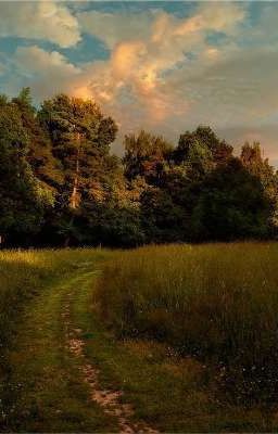 Летний вампир