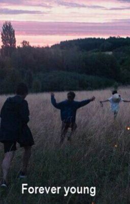 Ромашковый сад