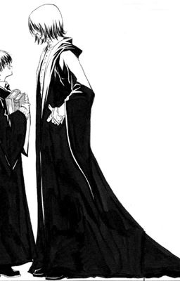 Гарри Поттер, всем выйти из Сумрака!