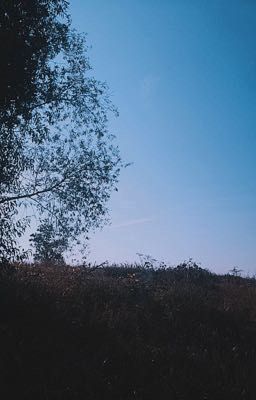 Жизнь Салли 