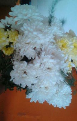 Запутанная любовь..