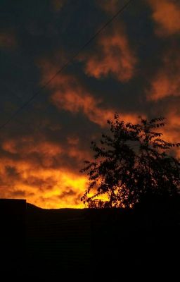 Сегодня никогда не повторится 