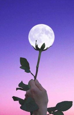 Любовь против всех