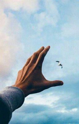 Спор?! Знай, это подло!