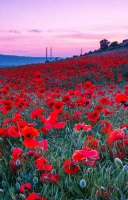 Начало новой жизни 