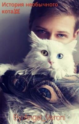 История необычного кота