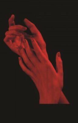 Свинцовая гавань  