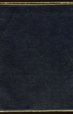 Левореформаторы против Праворадикалов