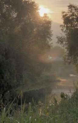 Интрижка 2024 года (ЛЕТО)