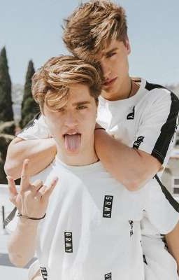 Близнецы Блэк