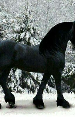 Сломанная навсегда 