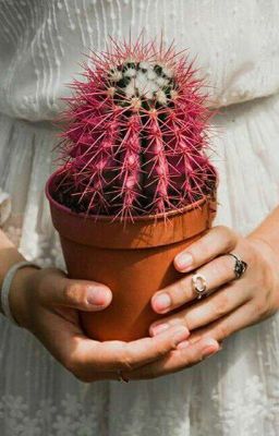 Мир на изнанку ну или месяц в загородном лагере 