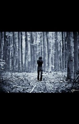 Таинственный лес.