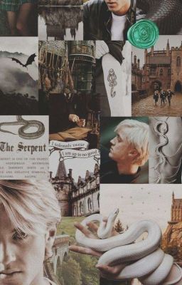 Невестка Малфоев/𝗗𝗮𝘂𝗴𝗵𝘁𝗲𝗿-𝗶𝗻-𝗹𝗮𝘄 𝗼𝗳 𝘁𝗵𝗲 𝗠𝗮𝗹𝗳𝗼𝘆𝘀