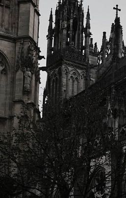 Сквозь тени и кровь 