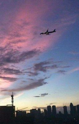 Песни на любой вкус