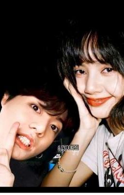 Несовместимые 