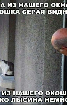 Приколы и картинки на разные темы