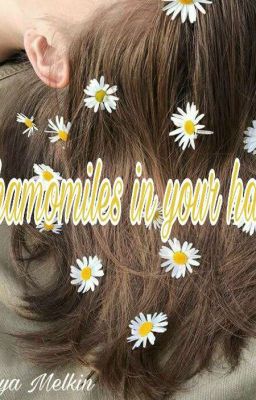 Chamomiles in your hair