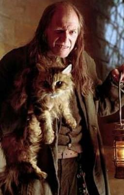 Загадка миссис Норрис