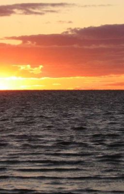 Тот самый горизонт