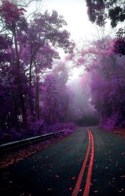 Чуть больше чем дружба