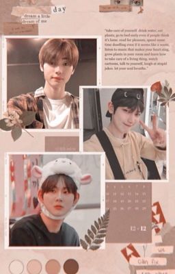  💫 Starlight Night💫 