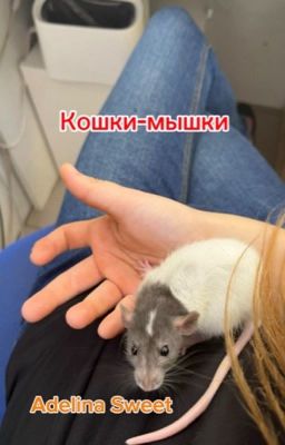 Кошки-мышки