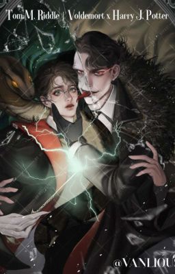 Гарри Поттер: Пробуждение тьмы (Продолжение перевода)