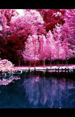 Второй шанс