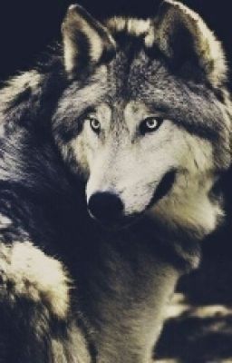 ШКОЛА Оборотней