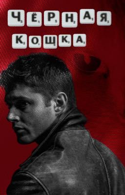 Чёрная кошка