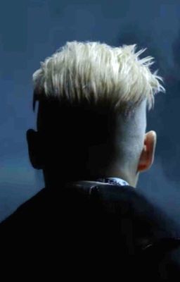 Гарри Поттер и Геллерт Грин-Де-Вальд