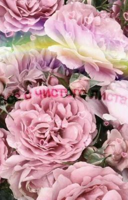 Всё с чистого листа! 