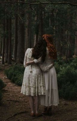 В ЛЕС ЗА ГРИБАМИ