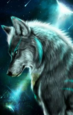 Я боюсь тебя, мой волк